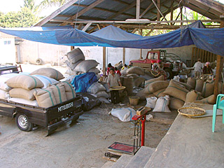 Imagen de C.O.P.C. S.A. antigua